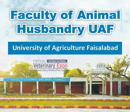 Faculty of Animal Husbandry UAF | A Veterinary Information Hub Faculty of Animal Husbandry UAF