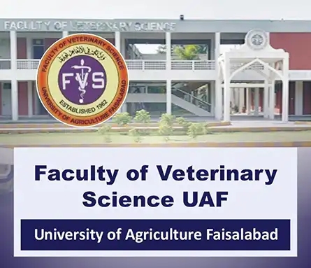 Faculty of Veterinary Science UAF | A Veterinary Information Hub Faculty of Veterinary Science UAF – DVM UAF