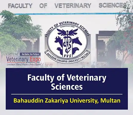 Faculty of Veterinary Sciences BZU Multan | A Veterinary Information Hub Faculty of Veterinary Sciences BZU Multan