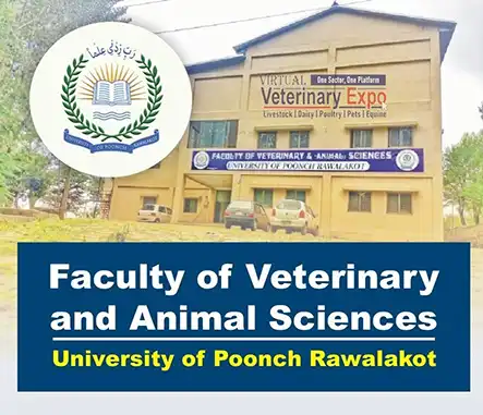 Faculty of Veterinary and Animal Sciences University of Poonch Rawalakot | A Veterinary Information Hub Faculty of Veterinary and Animal Sciences University of Poonch Rawalakot