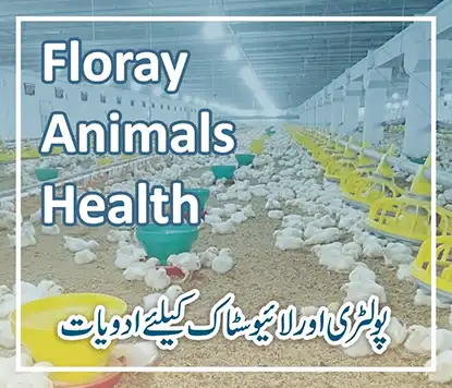 Floray Animals Health | A Veterinary Information Hub Floray Animals Health
