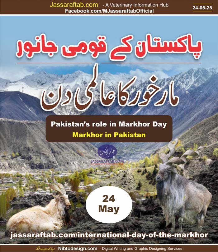 International Day of the Markhor Markhor Day Markhor Conservation and Markhor Subspecies in Pakistan