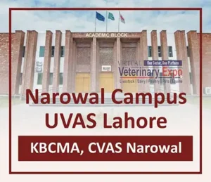 KBCMA CVAS Narowal - UVAS Narowal Campus