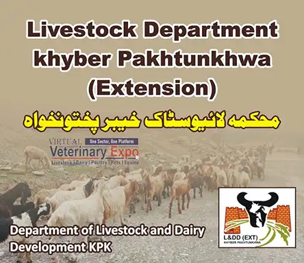 Livestock Department KPK - DG Livestock Extension | A Veterinary Information Hub Livestock Department KPK - DG Livestock Extension