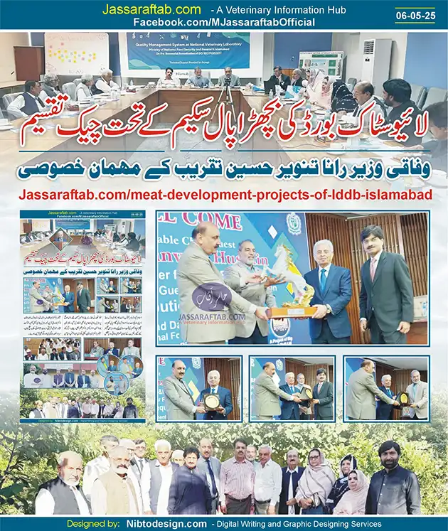 Meat Development Projects of LDDB Islamabad | A Veterinary Information Hub Meat Development Projects of LDDB Islamabad
