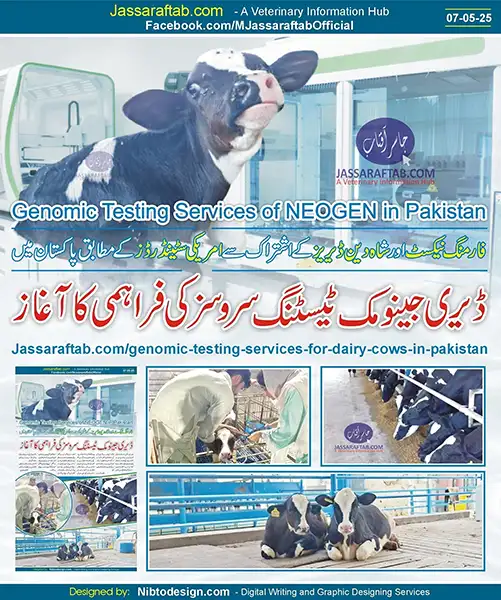 Neogen Genomics Dairy Genomic Testing Services in Pakistan | A Veterinary Information Hub Neogen Genomics Dairy Genomic Testing in animals in Pakistan