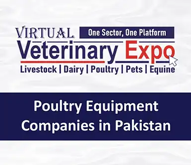 Poultry Equipment Companies in Pakistan | A Veterinary Information Hub Poultry Equipment Companies in Pakistan