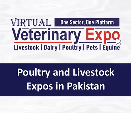 Poultry and Livestock Expos in Pakistan - Livestock Exhibition
