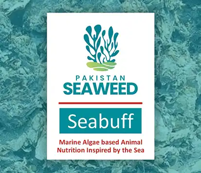 Seabuff - Seaweed Livestock Feed by Pakistan Seaweed | A Veterinary Information Hub Seabuff - Seaweed Livestock Feed by Pakistan Seaweed