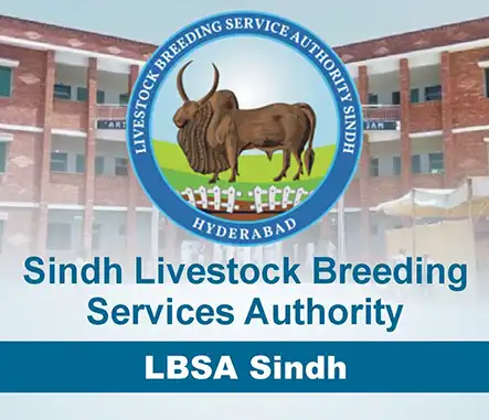 Sindh Livestock Breeding Services Authority LBSA Sindh | A Veterinary Information Hub Sindh Livestock Breeding Services Authority LBSA Sindh