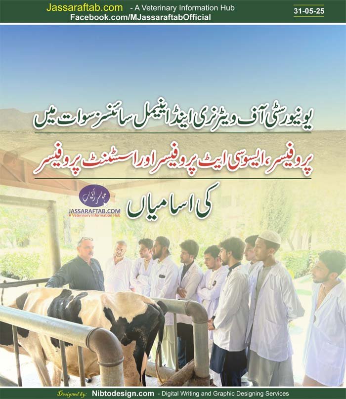 UVAS SWAT Jobs Animal Nutrition jobs Associate Professor Jobs Assistant Professor Jobs