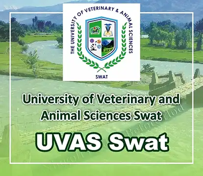 UVAS Swat - Veterinary University Swat | A Veterinary Information Hub UVAS Swat - Veterinary University Swat