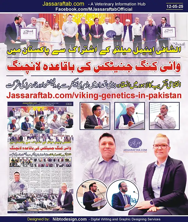 Viking Genetics and Al Shaafi Animal Health | A Veterinary Information Hub Viking Genetics and Al Shaafi Animal Health