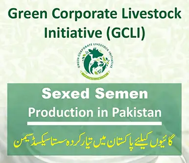 Bovine Sexed Semen Production in Pakistan | A Veterinary Information Hub Bovine Sexed Semen Production in Pakistan