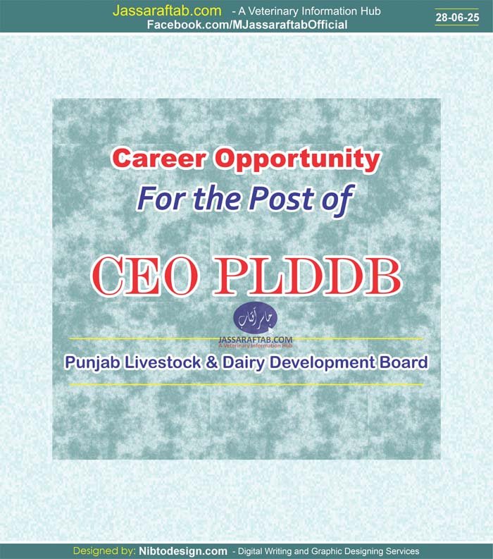 CEO PLDDB Job and Chief Executive Officer Job at PLDDB