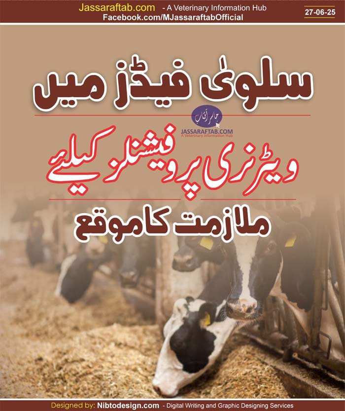 DVM Jobs at Salva Feeds Dairy Feed Job