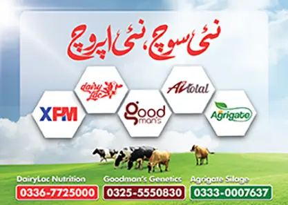 Dairy Lac Nutrition and Goodmans Genetics for Livestock | A Veterinary Information Hub Dairy Lac Nutrition and Goodmans Genetics for Livestock