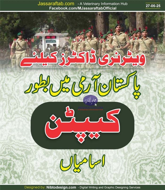 Join Pak Army as Captain through direct short service commission Pak Army Jobs, Jobs for Veterinary Graduates, RV&FC Jobs, Pakistan Army