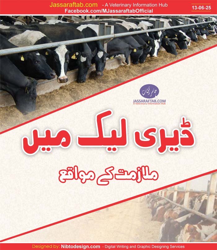 Marketing jobs at Dairy lac and Pharmacist jobs for D Pharmacy