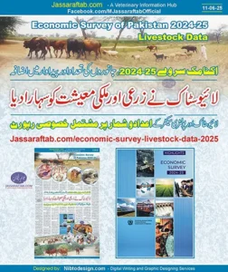 Pakistan Economic Survey 2024-25 - Livestock and Poultry Data