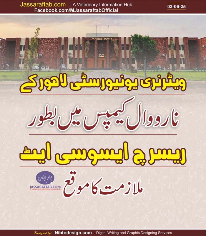 UVAS job at CVAS Narowal and project based job