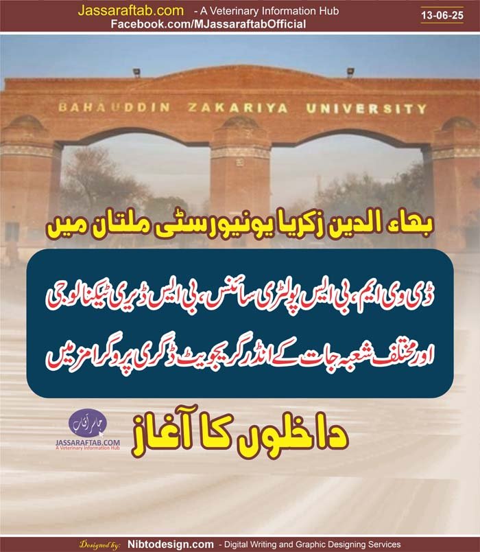 Undergraduat admissions 2025 at BZU and DVM admissions 2025