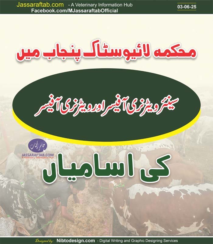 Veterinarians Jobs at PLDD Punjab livestock department jobs