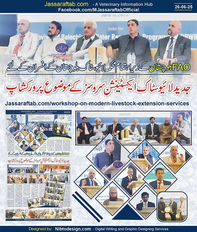 Workshop by FAO Balochistan for Livestock Officers | A Veterinary Information Hub Workshop by FAO Balochistan for Livestock Officers