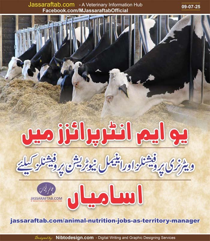 Animal Nutrition Jobs as Territory Manager at Um Enterprises