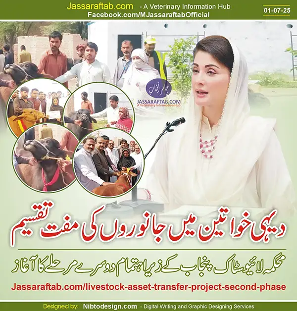 Free Distribution of Animals Second Phase | A Veterinary Information Hub Free Distribution of Animals Second Phase