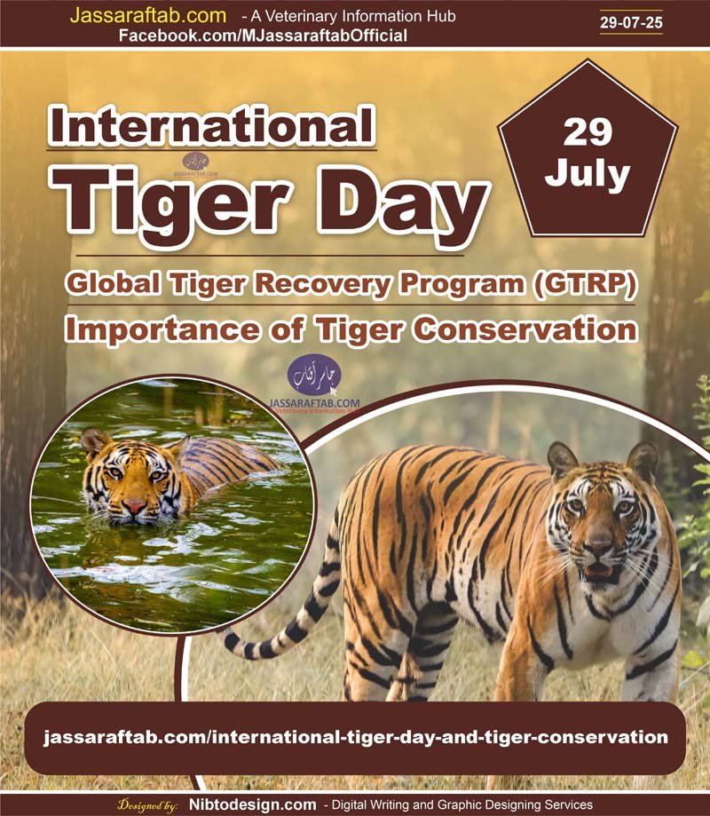 International Tiger Day Global Tiger Recovery Program GTRP Tiger conservation and importance of tigers, Global Tiger Day, endangered species, wildlife conservation, Big cat