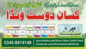 Kisan Dost Cattle Feed for Meat and Dairy Farming