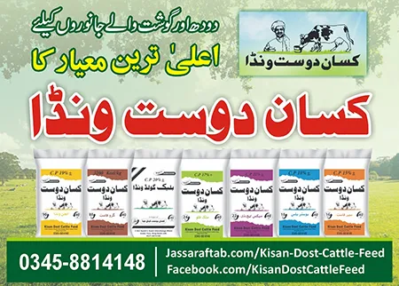 Kisan Dost Wanda by Kisan Dost Cattle Feed