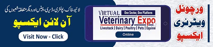 Virtual Veterinary Expo Live