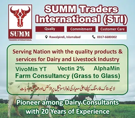 SUMM Traders International (STI) – Quality Dairy Products and Services
