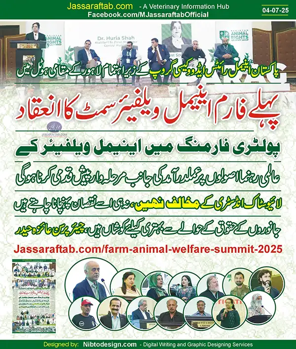 Welfare of Farm Animals and Welfare in Poultry Farming | A Veterinary Information Hub Welfare of Farm Animals and Welfare in Poultry Farming