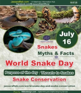 World Snake Day purpose of the day and threats to snakes and snake conservation and importance of snakes