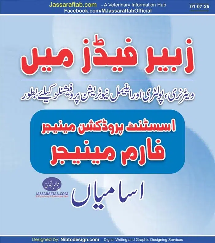 Zubair feeds Jobs Animal Science Jobs Poultry Farm manager jobs DVM Jobs Assistant Production Manager Jobs | A Veterinary Information Hub Zubair feed Jobs Animal Science Jobs Poultry Farm manager jobs DVM Jobs Assistant Production Manager Jobs