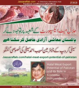 Halal Meat Sector in Pakistan and its Potential by Nasib Ahmed Saifi
