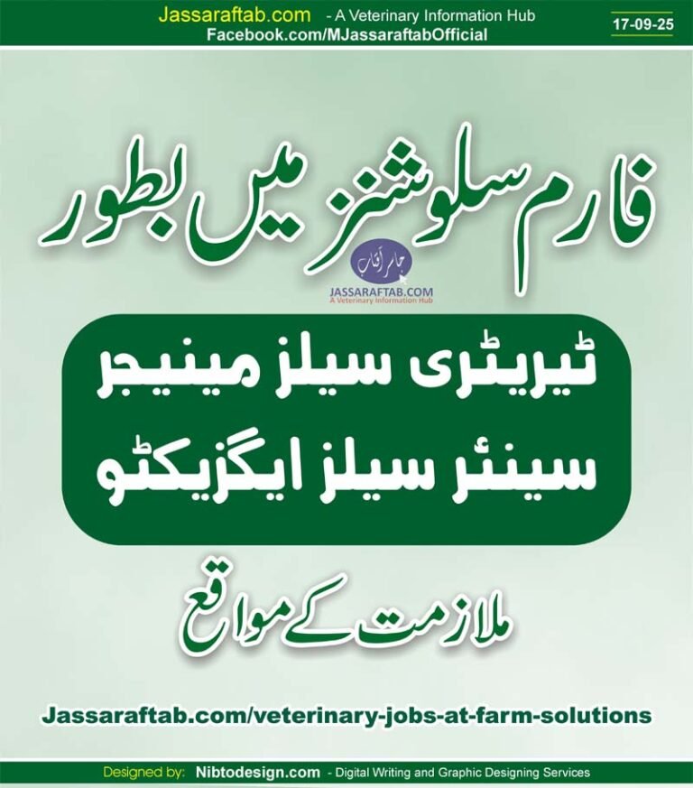 Veterinary Jobs at Farm Solutions Cattle Feed Jobs and DVM Jobs in Multan