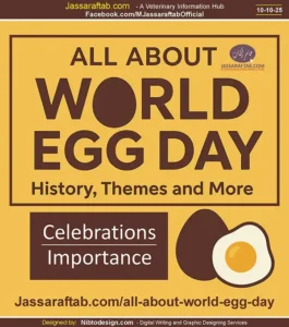 All About World Egg Day