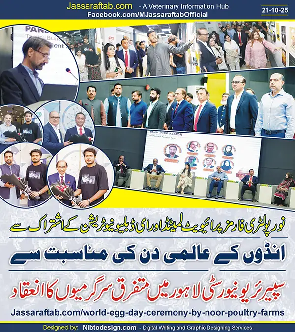 Egg Day Event by Noor Poultry Farms | A Veterinary Information Hub Egg Day Event by Noor Poultry Farms