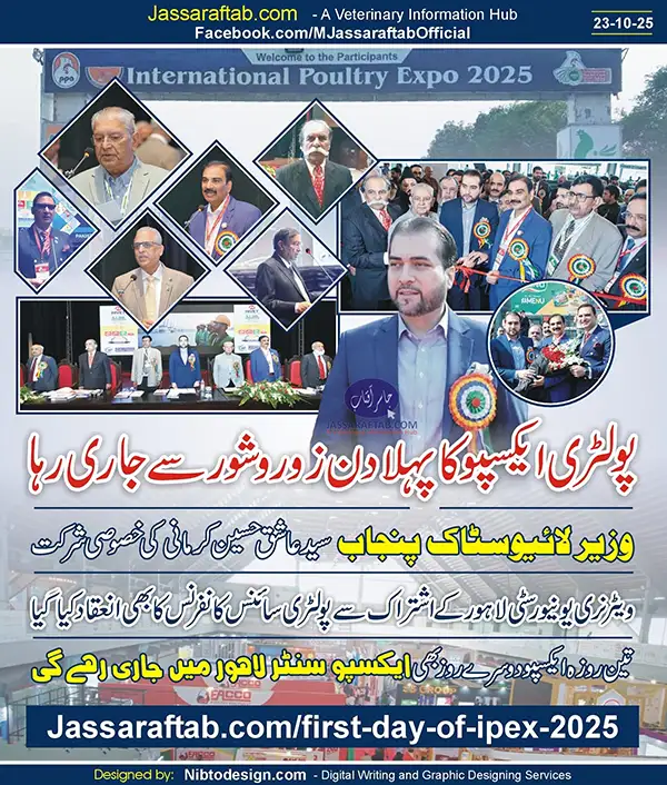 First Day of IPEX 2025 | A Veterinary Information Hub First Day of IPEX 2025