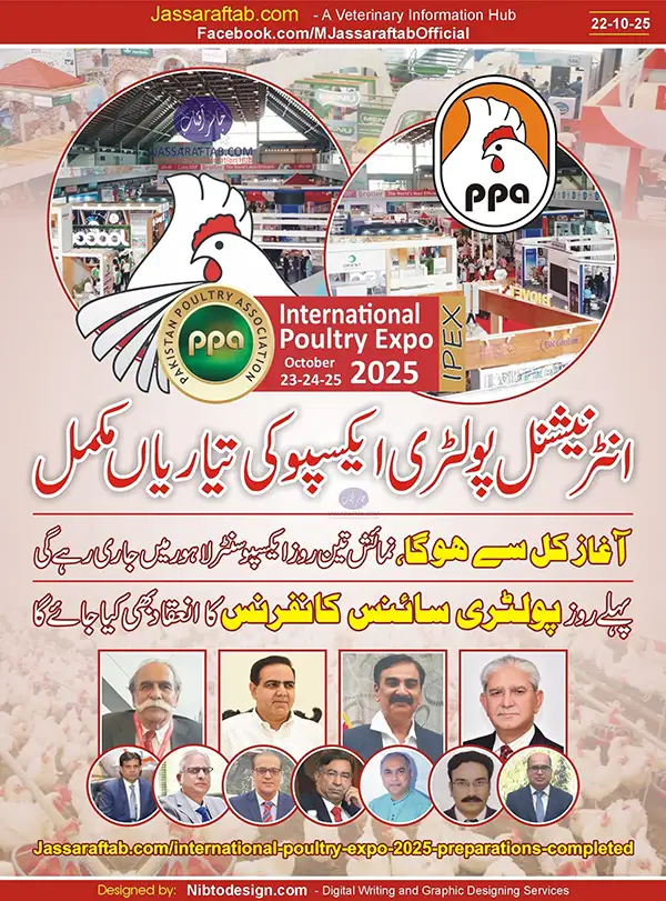 IPEX 2025 - Poultry Exhibition Completed | A Veterinary Information Hub IPEX 2025 - Poultry Exhibition 2025 Completed