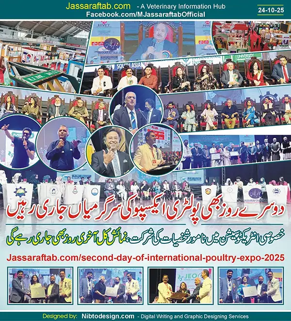 IPEX Pakistan 2025 | A Veterinary Information Hub IPEX Pakistan 2025 Second Day