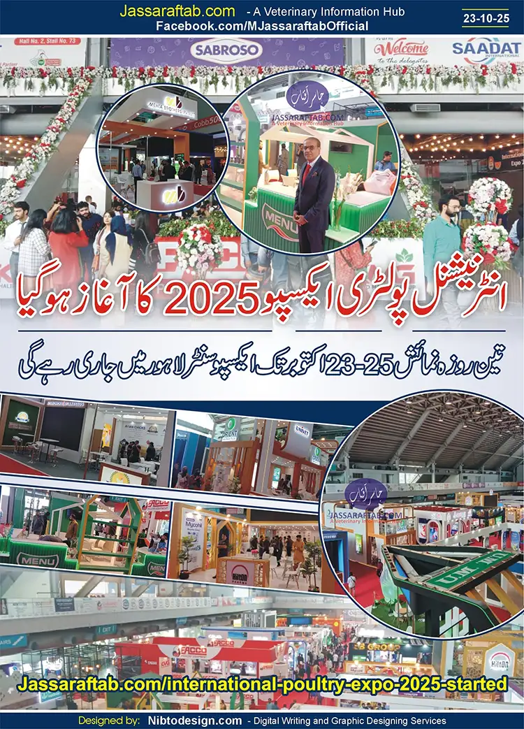 International Poultry Expo 2025 and Poultry Exhibition IPEX 2025 | A Veterinary Information Hub International Poultry Expo 2025 and Poultry Exhibition IPEX 2025