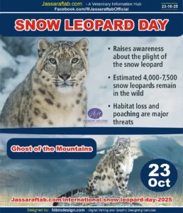 International Snow Leopard Day and Snow Leopard Conservation Ghost of the Mountains, Elusive Big Cats