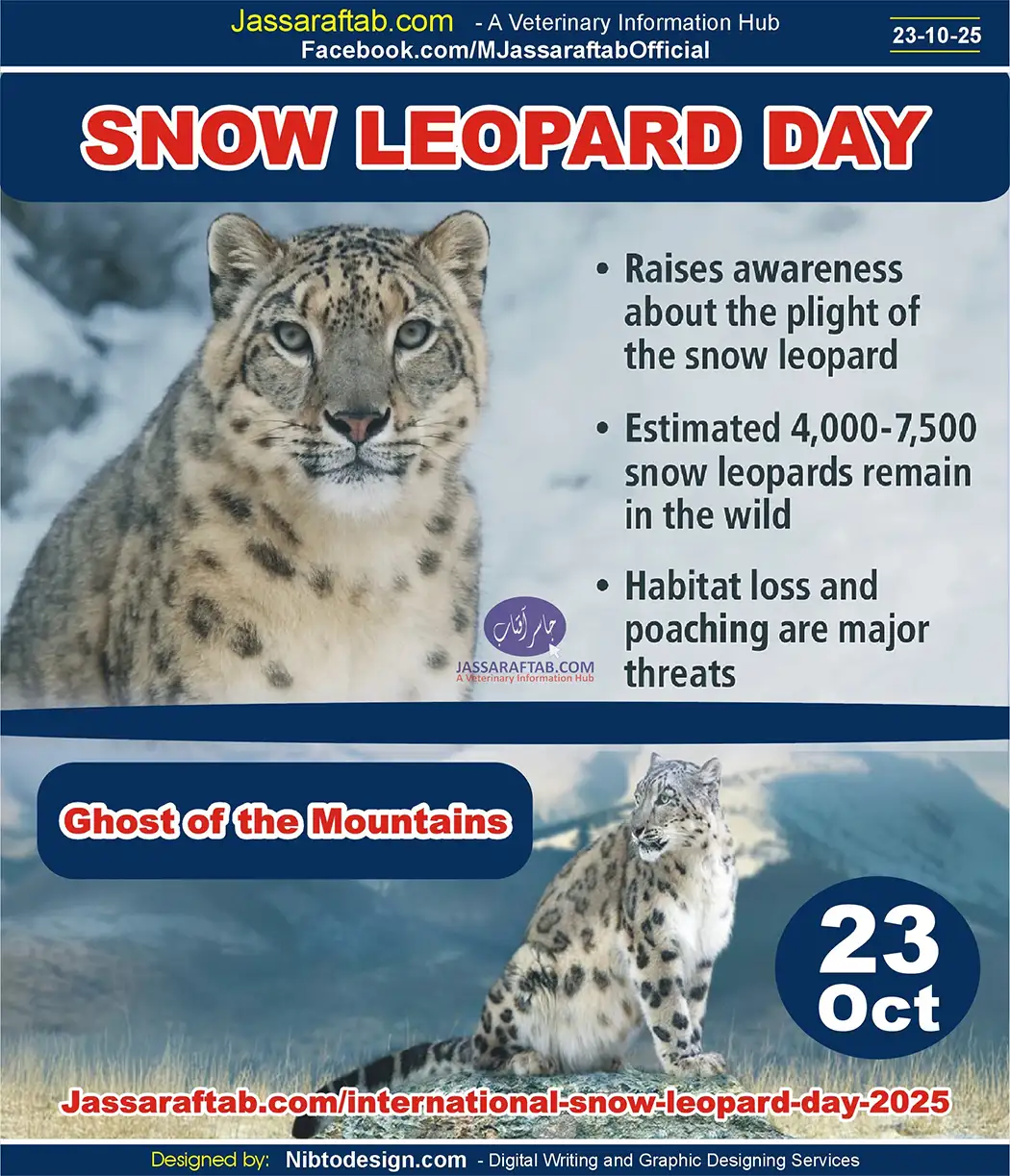 International Snow Leopard Day and Snow Leopard Conservation Ghost of the Mountains | A Veterinary Information Hub International Snow Leopard Day and Snow Leopard Conservation Ghost of the Mountains, Elusive Big Cats