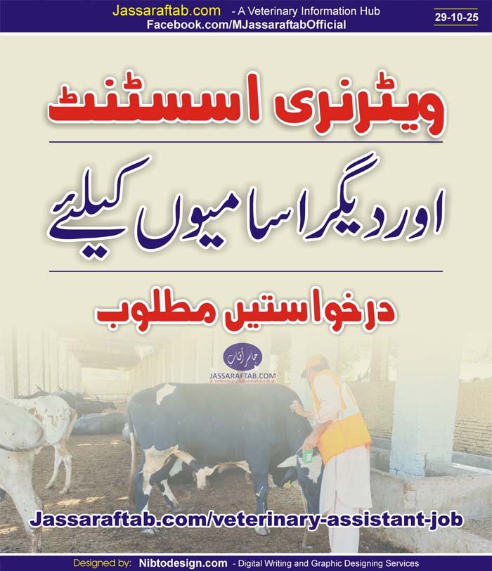 Veterinary Assistant Job