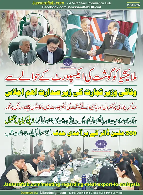 Meeting on Meat Sector Development | A Veterinary Information Hub Meeting on Meat Sector Development